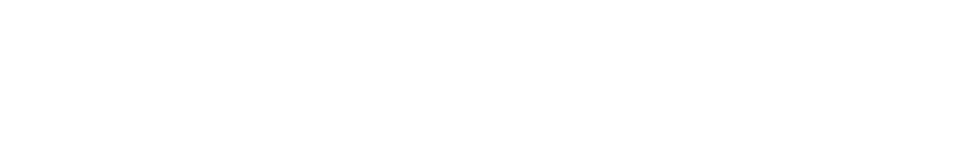 NT Logo